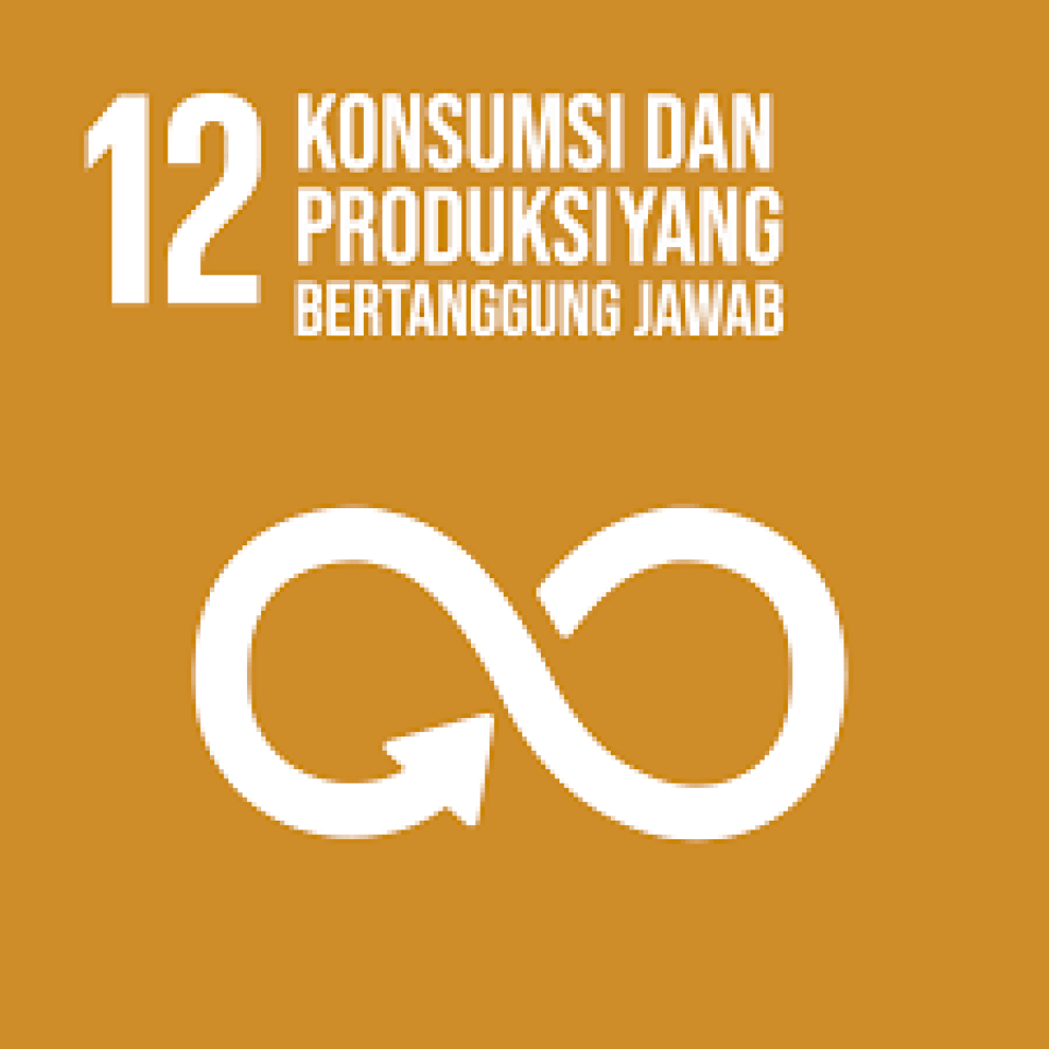 12 SDGs